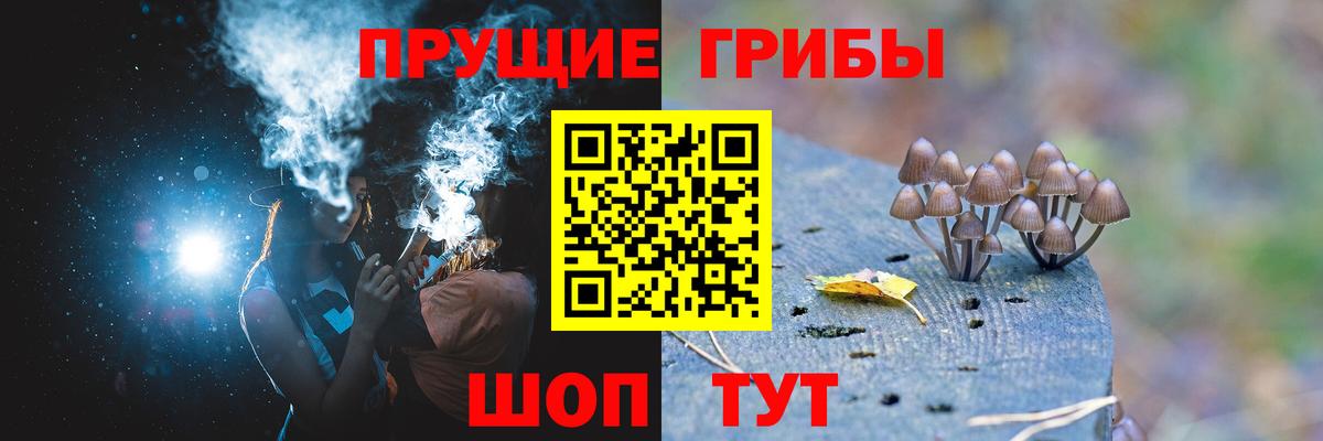 наркотики  Галлюциногенные грибы MAGIC MUSHROOMS  Псилоцибиновые грибы Psilocybe  Вход с VPN  Кольчугино 